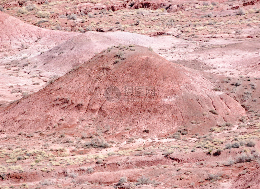 石化森林景观沙漠岩石红色图片