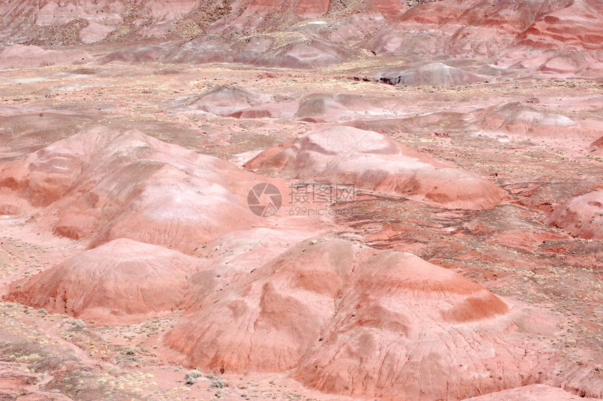 石化森林景观岩石红色沙漠图片