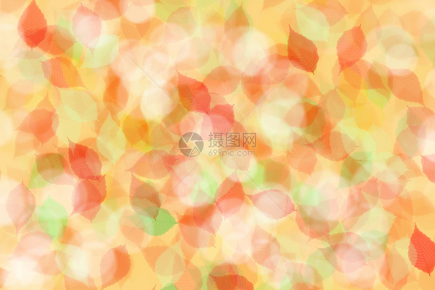 色彩多彩的抽象叶叶叶背景图片