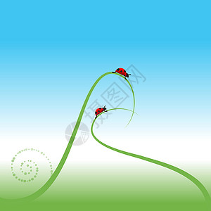 弹簧草春底Ladybug 弹簧背景甲虫艺术草本植物季节叶子生活环境幸福场地阳光插画