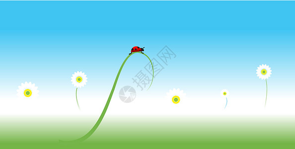 弹簧草春底Ladybug 弹簧背景天空阳光叶子草地昆虫瓢虫幸福甘菊甲虫艺术插画