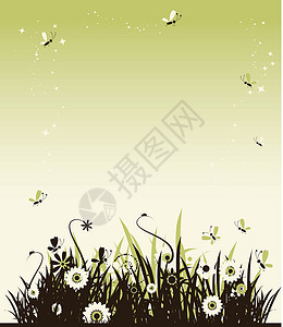 夏天草地美丽雏菊插图蝴蝶生长昆虫场地魔法叶子甘菊天空插画