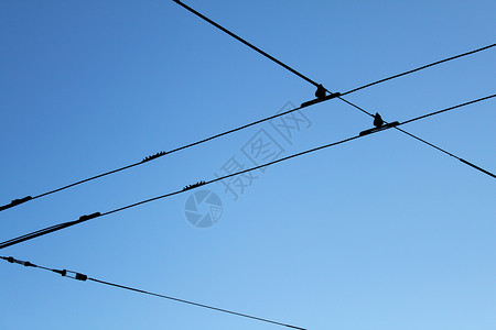 蓝天上的黑铁丝网背景图片