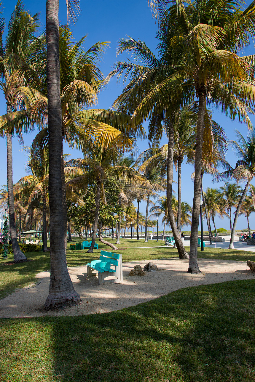 迈阿密海滩海岸线长椅图片