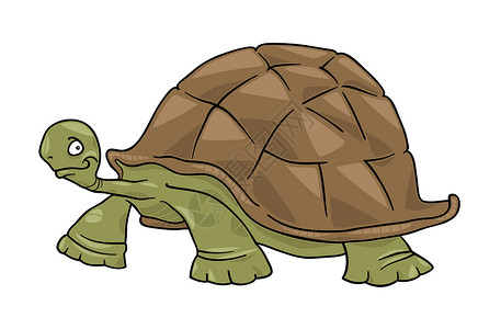 大海龟剪贴甲壳漫画动物插图微笑绿色快乐野生动物艺术背景图片
