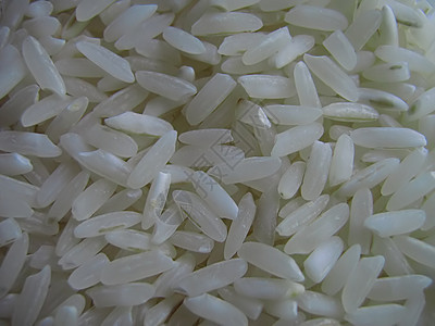 未煮熟白稻白色饮食颗粒状粮食食物收成植物学谷物铣削营养背景图片