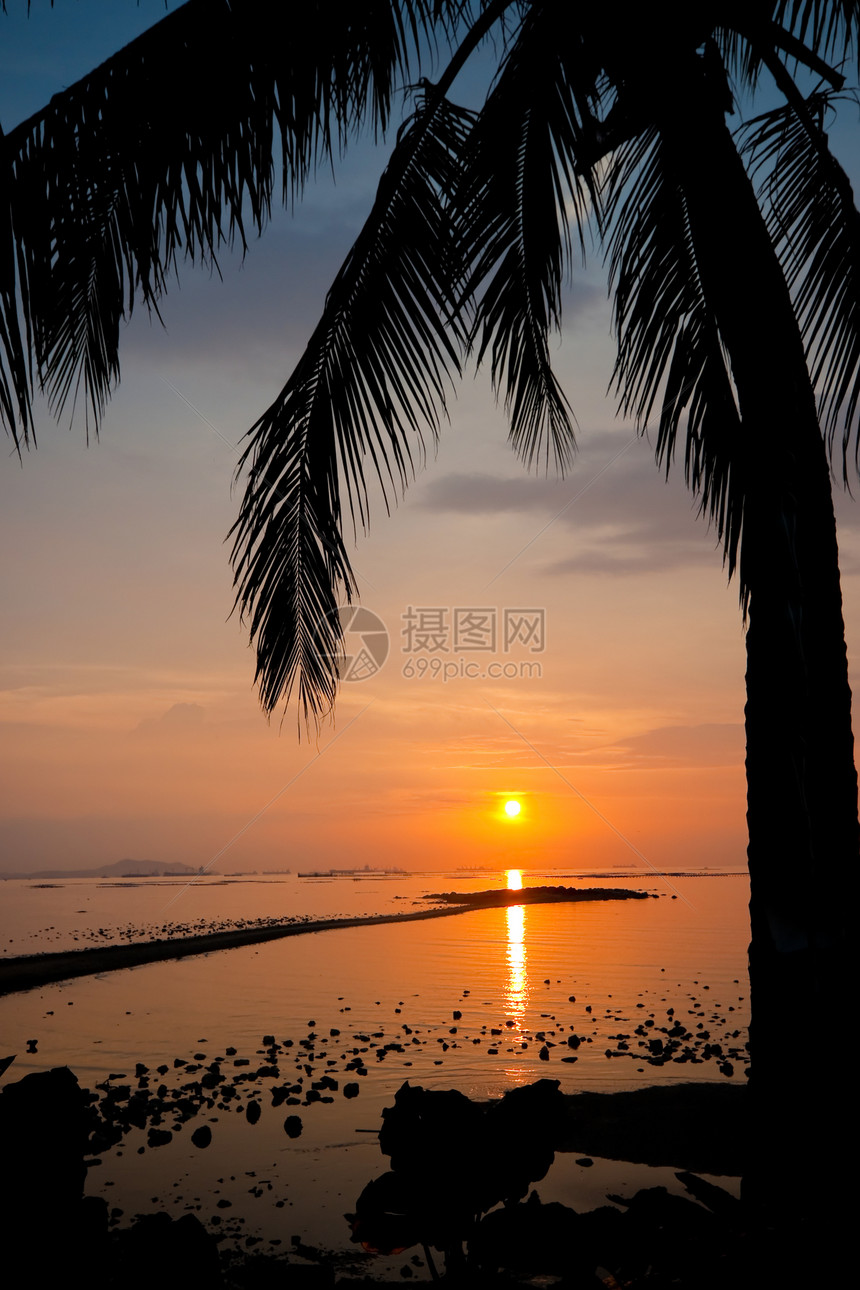日落时棕榈树环影气候橙子天空异国情调太阳海浪阳光棕榈石头图片