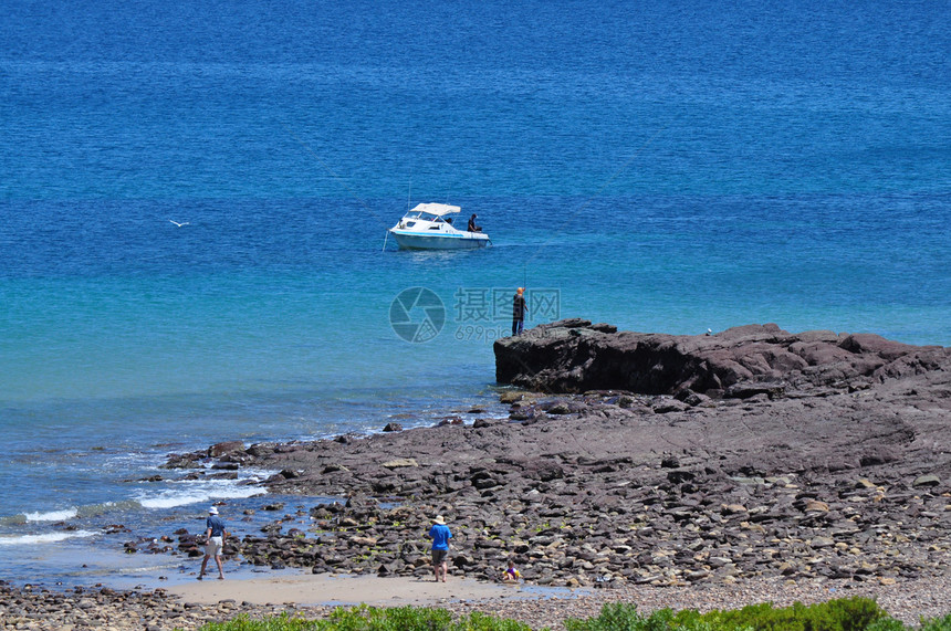 美丽的澳洲海岸 哈莱特湾 阿德莱德海景热带海滩天堂假期海洋岩石阳光海浪植物图片