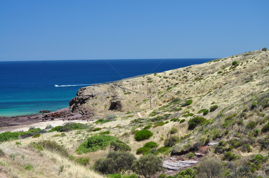 美丽的澳洲海岸 哈莱特湾 阿德莱德阳光热带天堂支撑地标明信片天空晴天石头爬坡图片