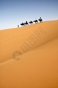 沙漠大篷车骆驼夫晴天运输沙丘骆驼旅游单峰旅行游客高清图片