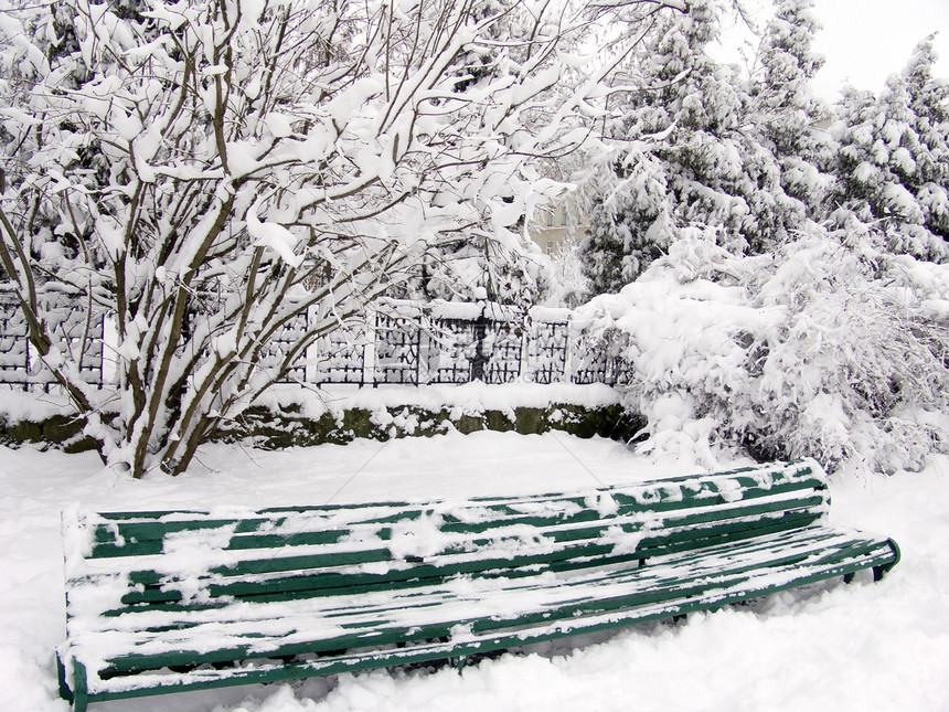 雪中树木和板凳图片