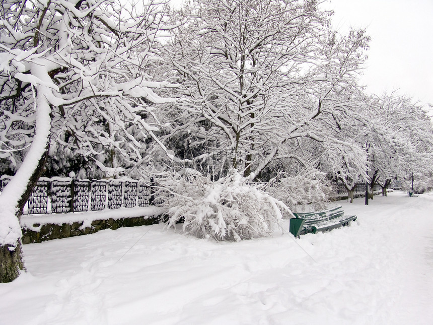 雪中的树木和板凳2图片