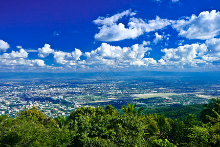 蔓延蓝色花泰国Doi Suthep的清迈观点背景