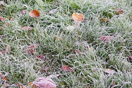 冻结草坪背景图片