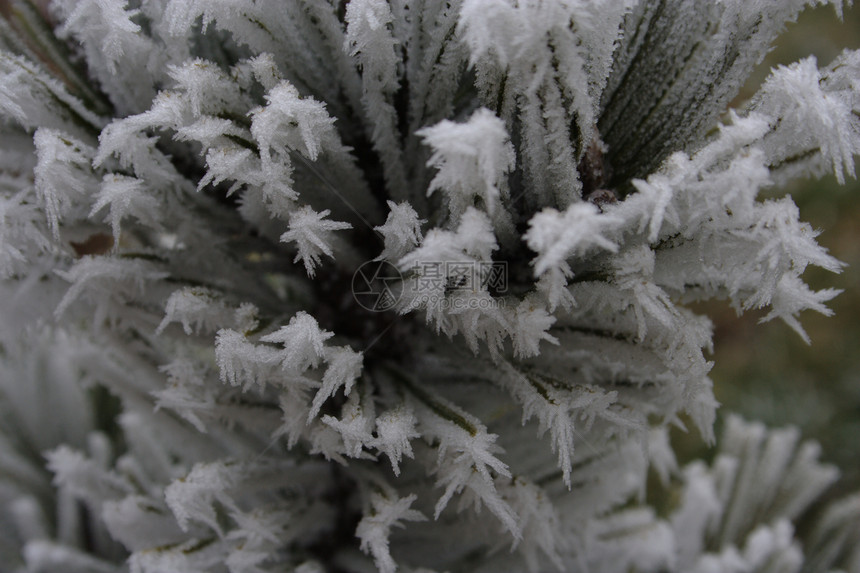 螺旋锥上的寒霜水晶白色宏观冻结图片