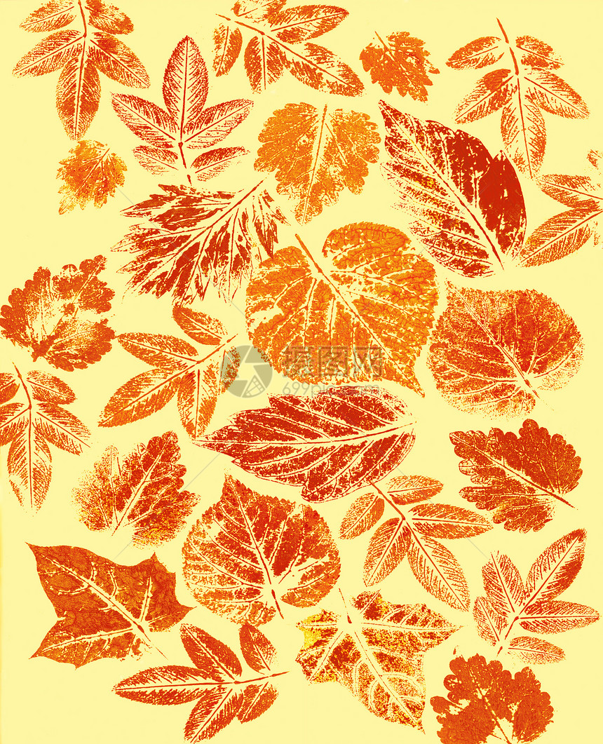 摘要背景 水彩 叶子绘画墙纸手工染料艺术品艺术环境橙子装饰品克力图片