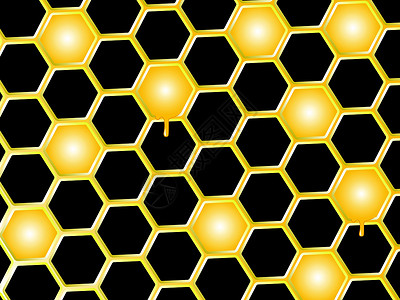 六边形组合蜂蜜梳蜜背景蜂窝几何学金子细胞绘画荒野夹子六边形液体宏观插画