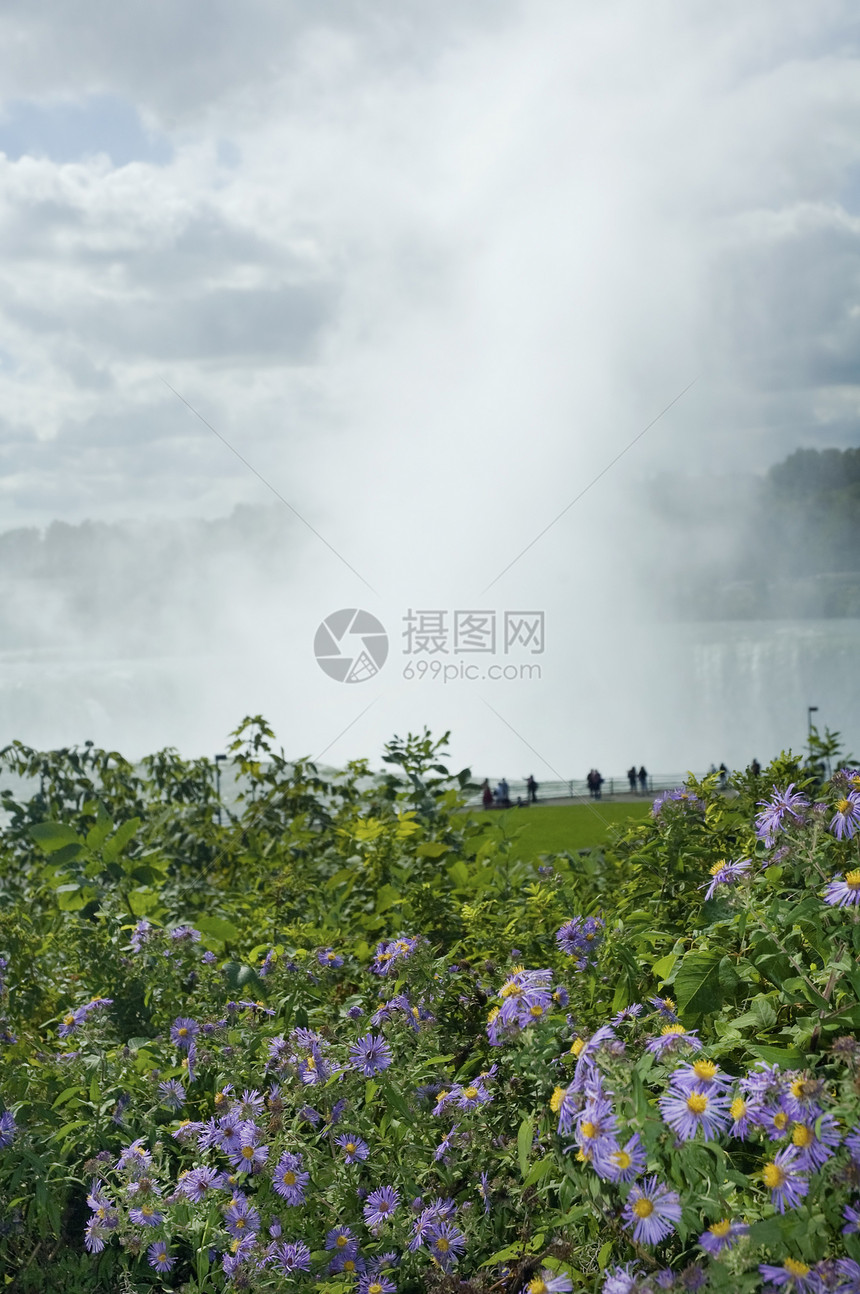 尼亚加拉瀑布白色旅行溪流旅游力量吸引力瀑布马蹄铁花朵薄雾图片