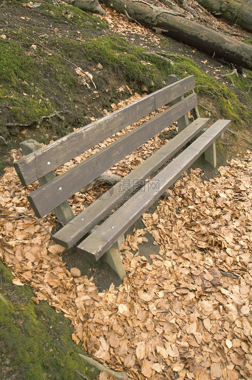 木板板座位木头季节性场景公园休息长椅花园椅子树叶图片