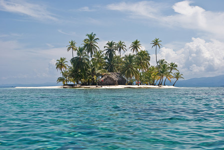 文图拉岛椰子树太平洋高清图片