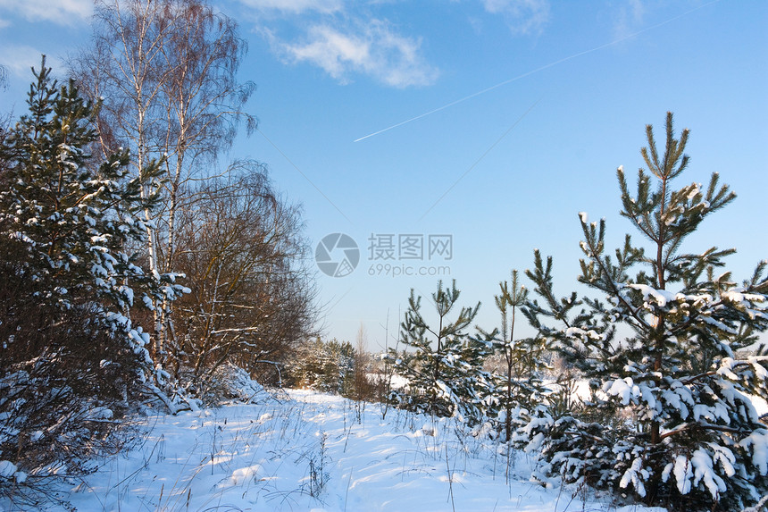 冬季风景荒野小路运动场景森林树木脚印越野人行道地形图片