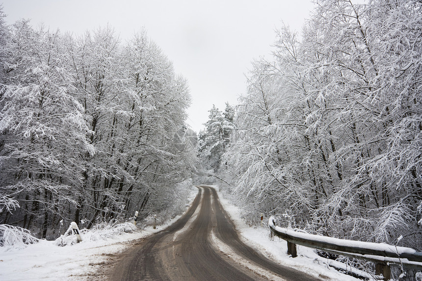 冬季森林中的树木车道旅行人行道场景暴风雪假期季节国家天气下雪图片