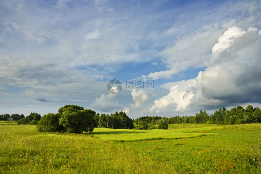 夏季风景场景牧场蓝色美化叶子孤独自由环境爬坡小麦图片