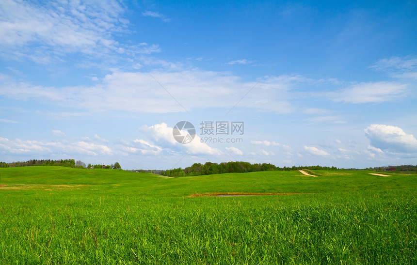 夏季风景太阳场景季节场地自由小麦叶子地平线爬坡蓝色图片