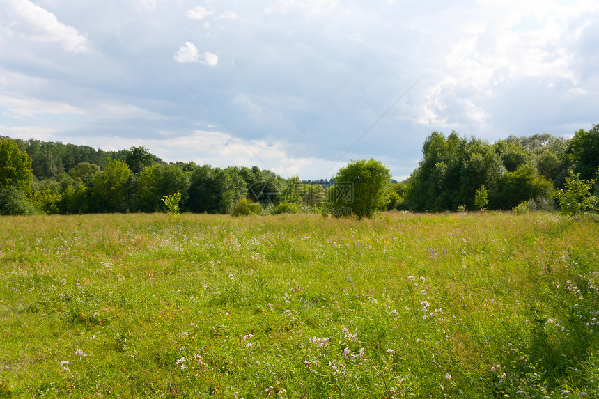 夏季风景场景自由天空场地爬坡农业叶子孤独季节蓝色图片