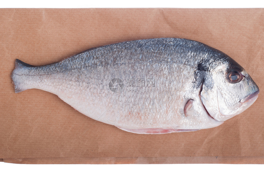 多角鱼镀金头白色海鲜市场钓鱼棕色口头禅营养尾巴食物图片
