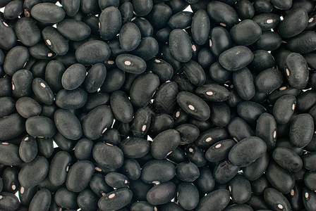 黑豆豆子养分营养美食农业生产饮食宏观谷物消化背景图片