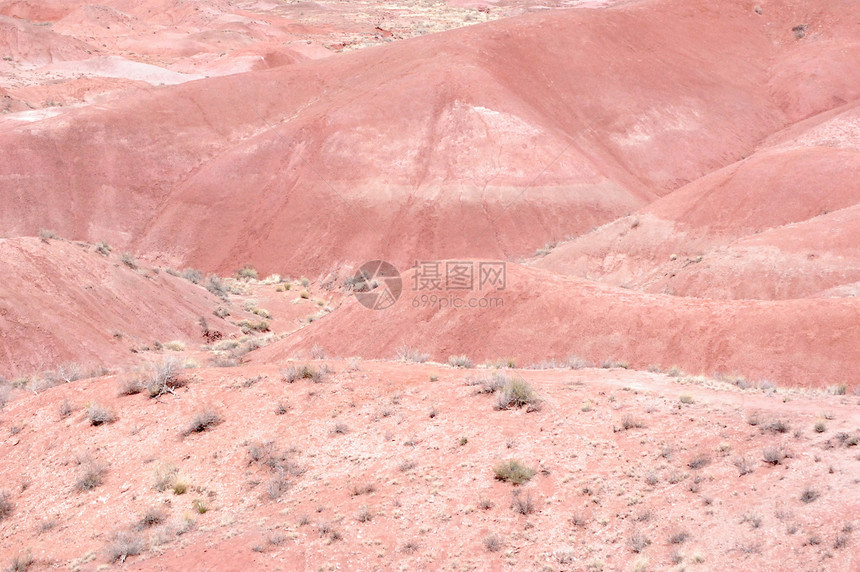 石化森林岩石沙漠红色图片