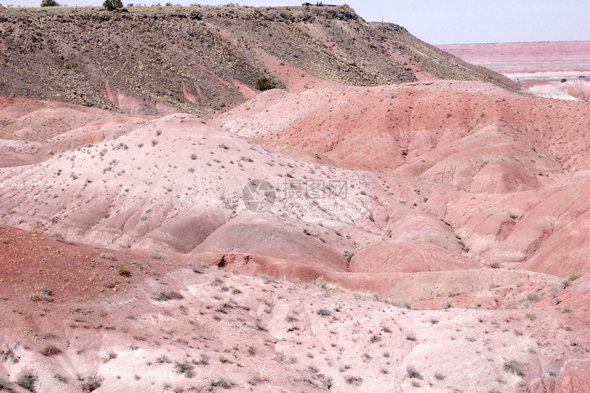 石化森林沙漠岩石红色图片