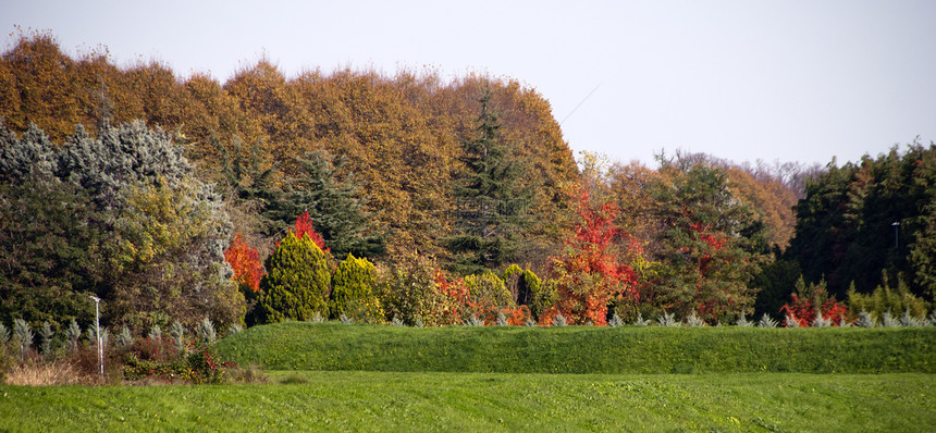 卢卡的秋季颜色收成农场农村食物季节房子旅游地平线农业收获图片