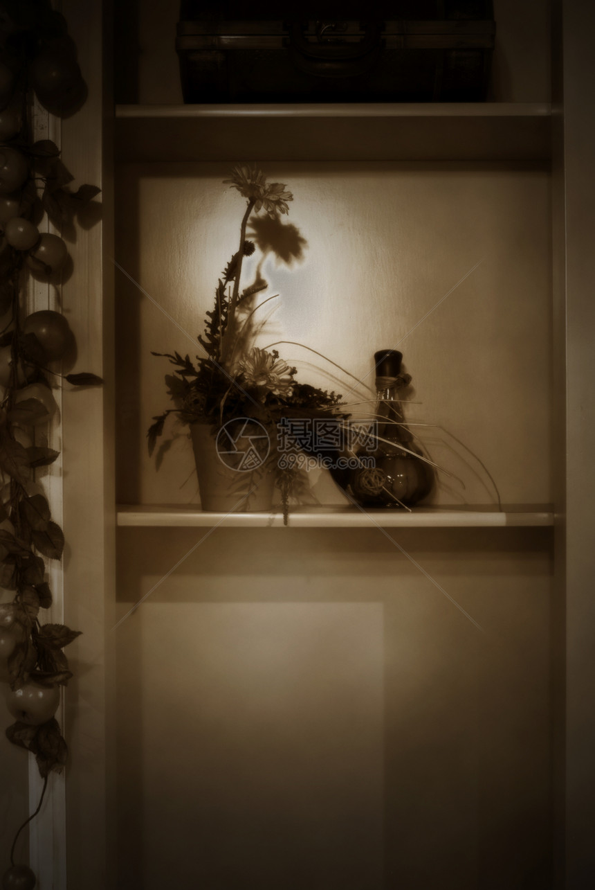 装饰家具的一小块植物学案件乐队风景叶子瓶子木头风格花朵货架图片