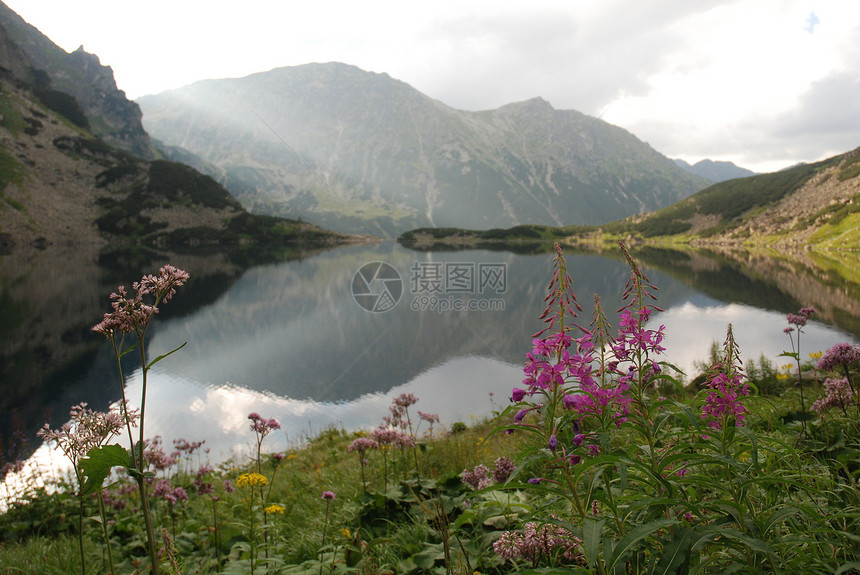 塔塔山山峰天空热情绿色树木场景顶峰冒险海拔森林图片