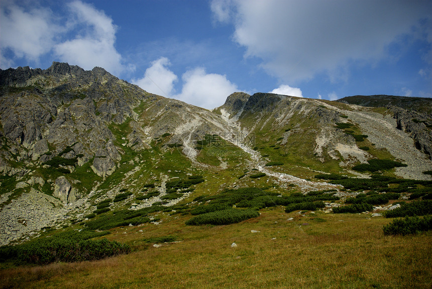 塔塔山山脉冒险热情森林蓝色草地绿色顶峰海拔树木图片