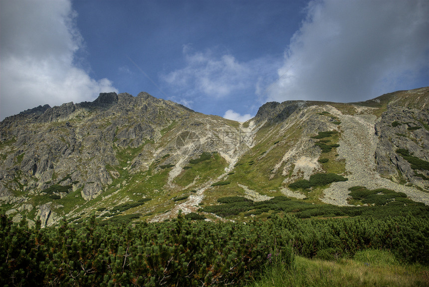 塔塔山绿色草地山峰树木天空海拔顶峰山脉蓝色森林图片