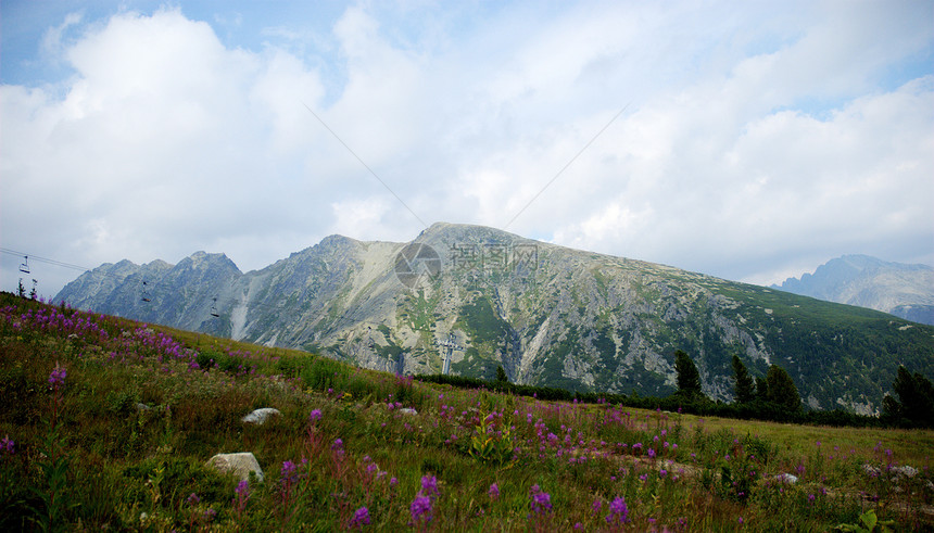 塔塔山森林绿色蓝色冒险山脉顶峰场景树木草地海拔图片