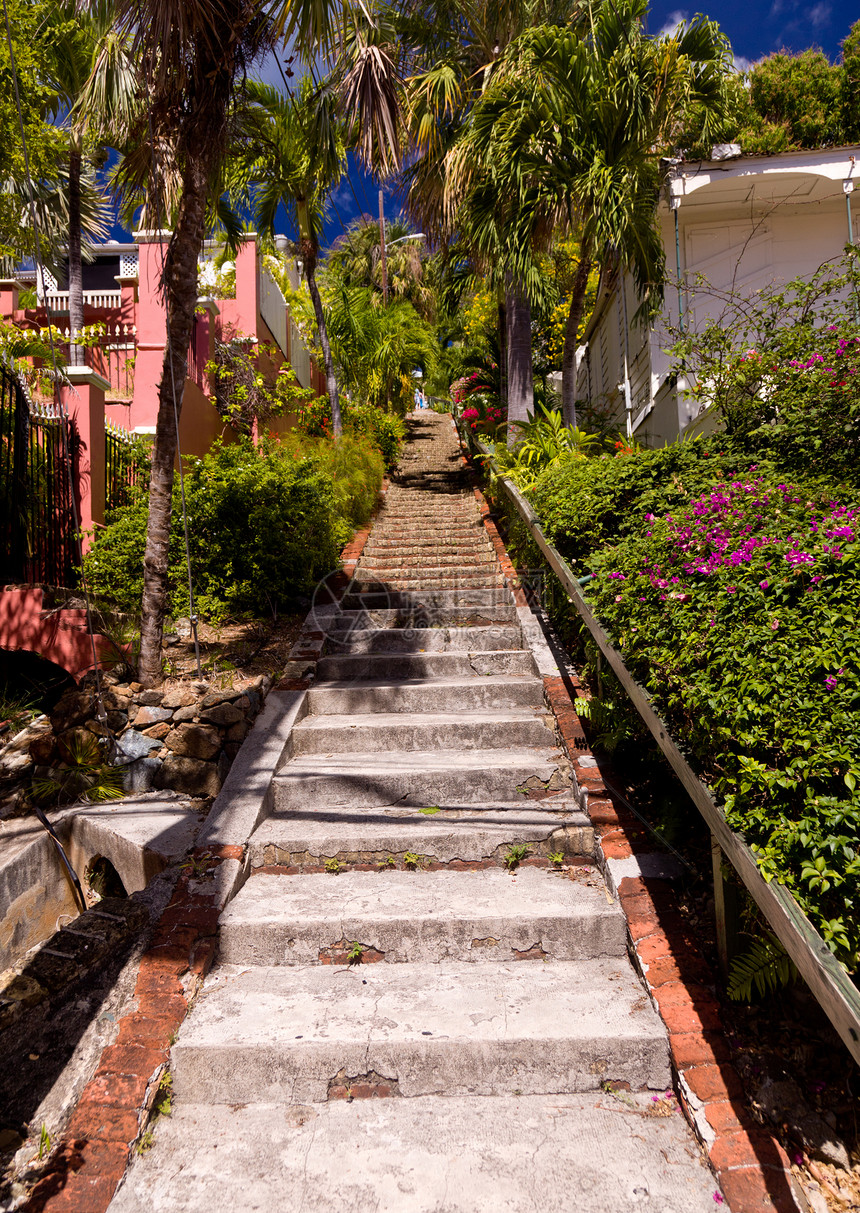 在圣托马斯岛保持99步处女城市花朵建筑物建筑学热带棕榈白色楼梯图片