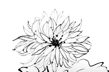 中文花朵绘画背景图片
