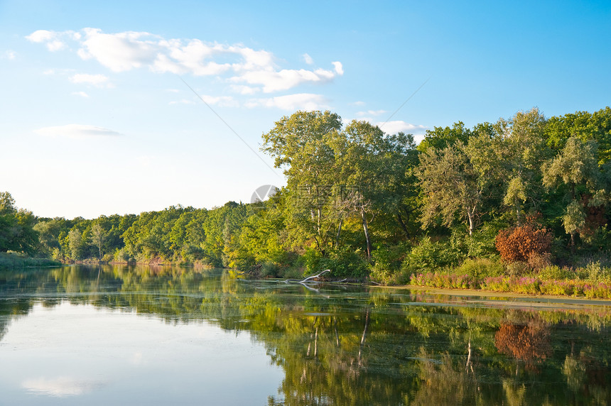 图景林和河流叶子植物场景岩石衬套荒野假期风景蓝色国家图片
