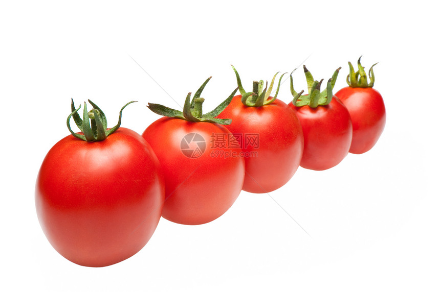 西红柿排成一行蔬菜阴影小路团体市场白色红色植物食物工作室图片
