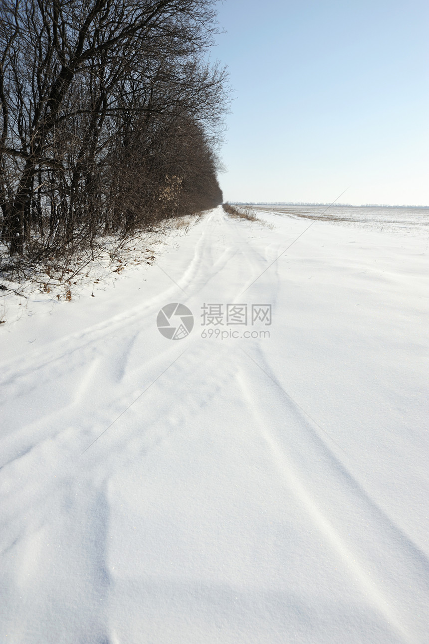 冬季字段场地草地场景树木天空痕迹小路季节蓝色仙境图片