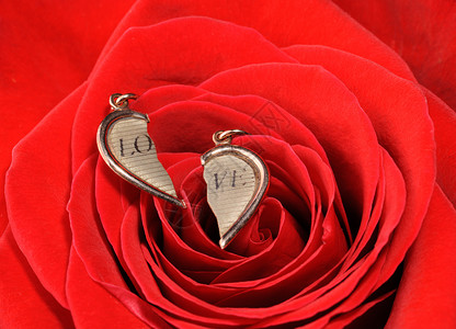 红玫瑰中破碎的金心戒指花瓣派对新娘叶子珠宝夫妻婚姻美丽卡片背景图片