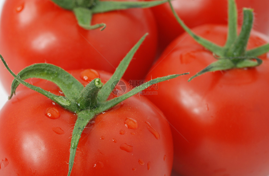 番茄类藤蔓美食白色红色饮食蔬菜小吃绿色宏观水果图片