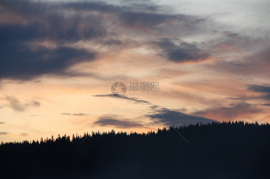 日落时北马尔马的森林景象图片