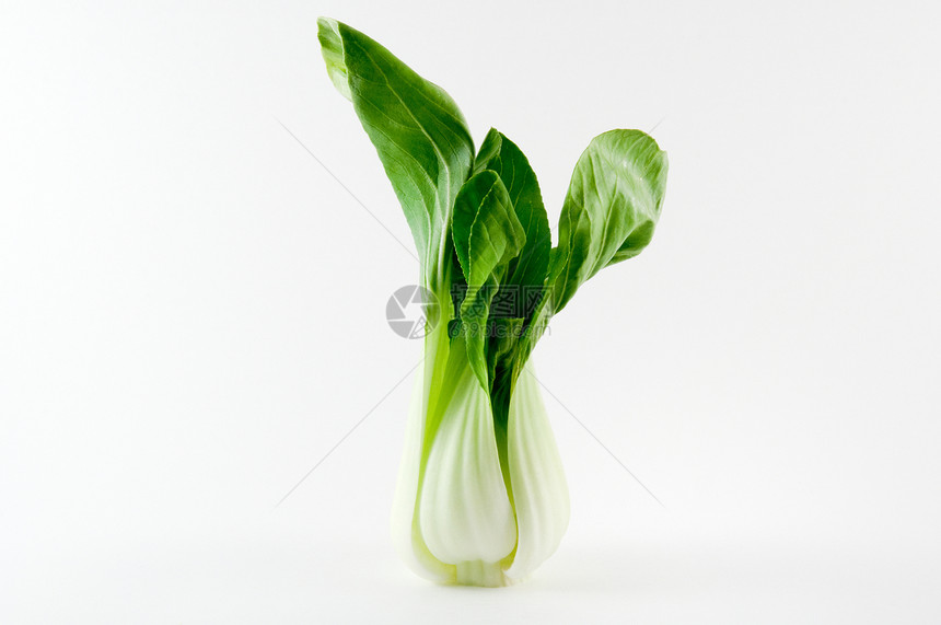 中国的卷心菜肉酱 派克辣椒蔬菜沙拉饮食桌子营养青菜维生素食物多叶绿色图片