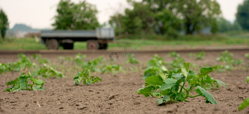 农业土壤收成国家土地草地农田工作生产培育肥料图片