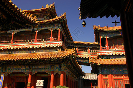 韩国首尔京博功寺背景图片